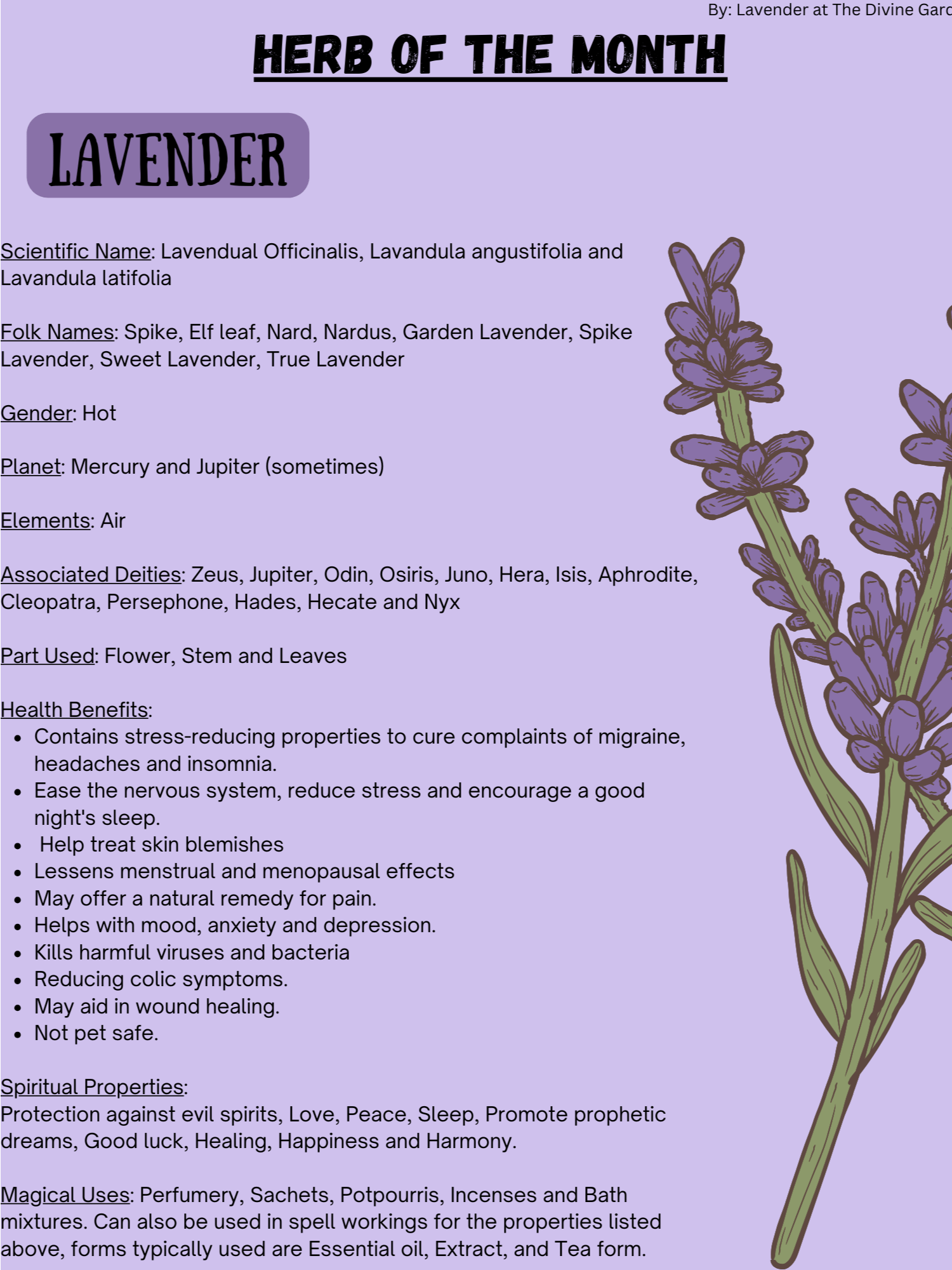 Lavender product image (1)