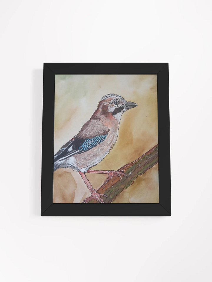 Corvis Series [01] Eurasian jay framed print product image (1)