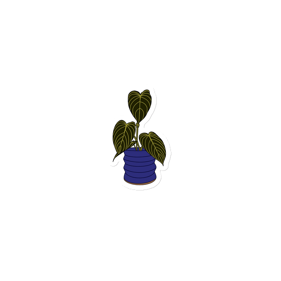 philodendron gloriosum magnet product image (1)