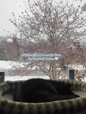 Sometimes when life gets busy we often forget to slow down and take time for ourselves. Read your favourite book, bake something you like, take a nap! Do something for yourself and enjoy it!🤍 #selfcare #reminder #snowfall #catmom #selfcaretiktok 