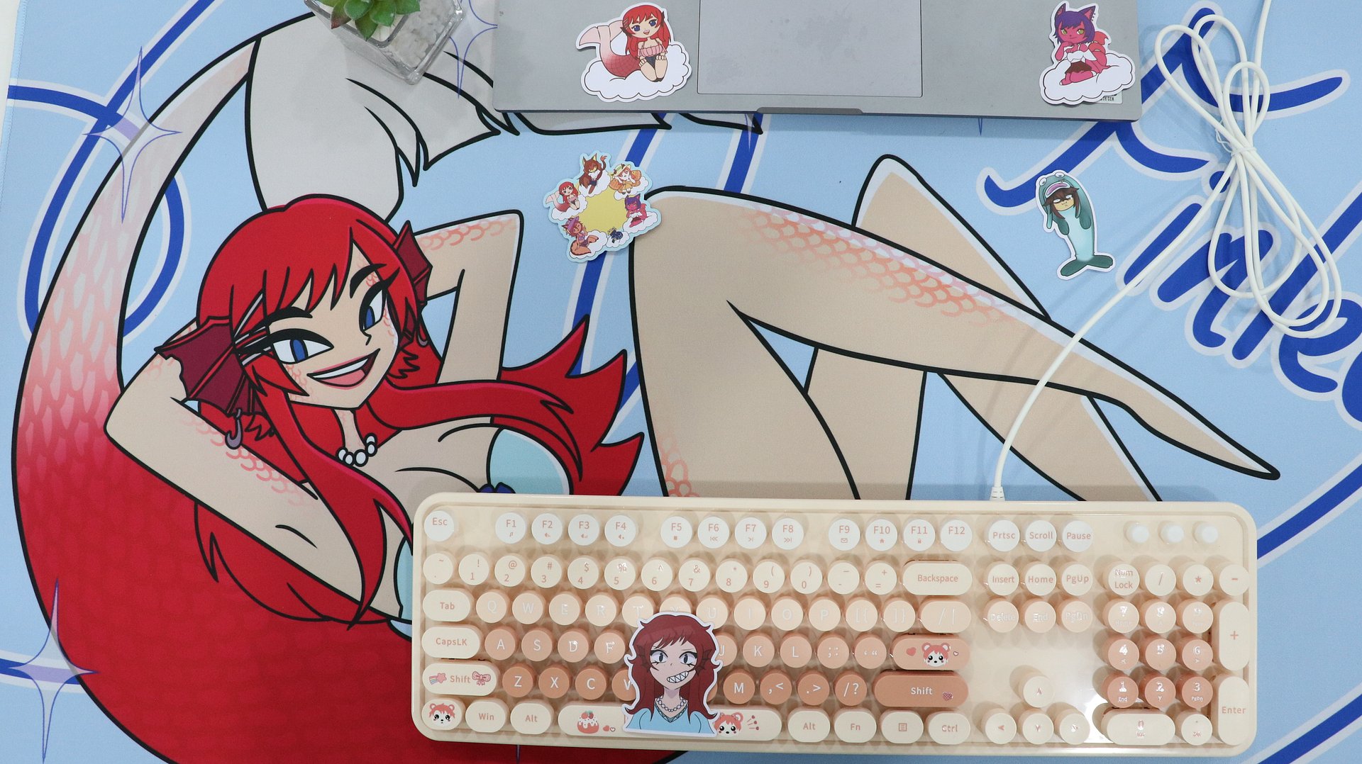 ★STARS★ Finley 2025 Bundle product image (2)