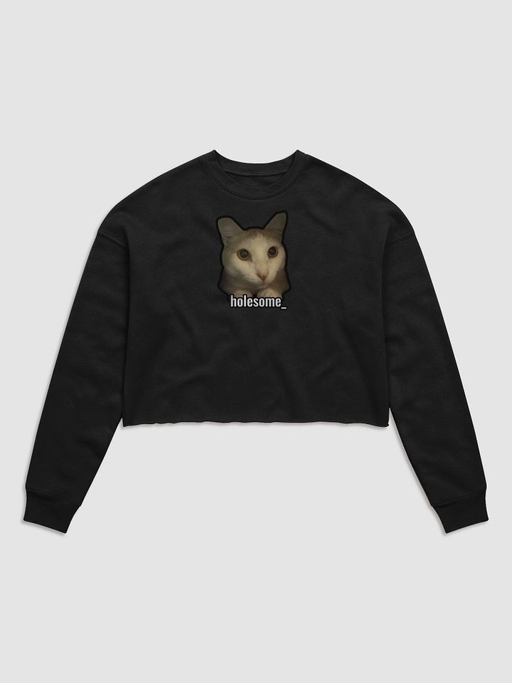 holesome Nico cropped sweatshirt product image (5)