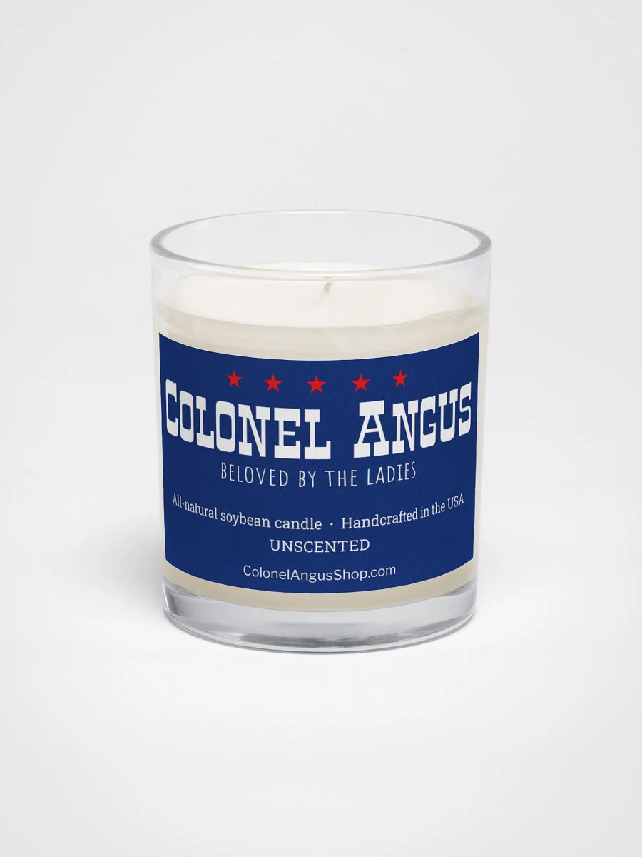 Unscented candle funny gift product image (5)