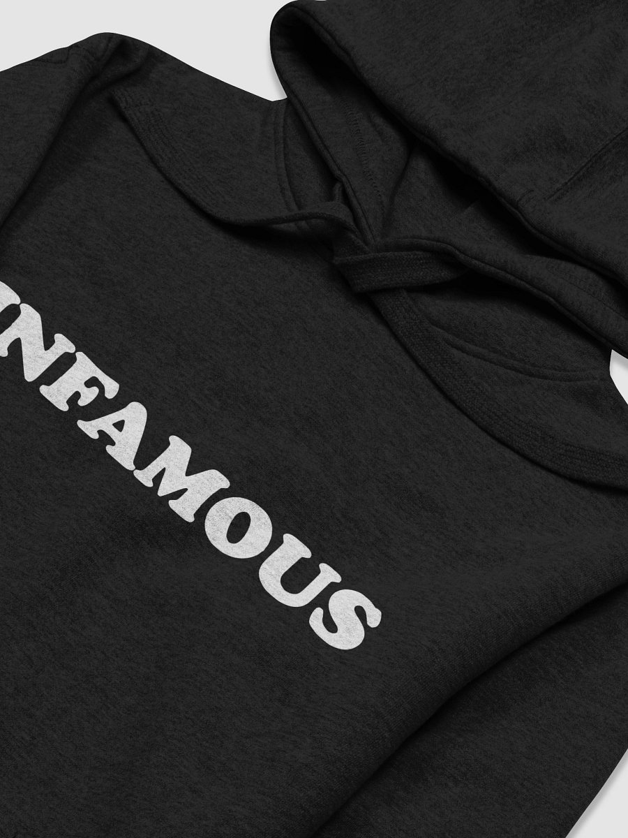 INFAMOUS - Unisex Premium Hoodie product image (3)