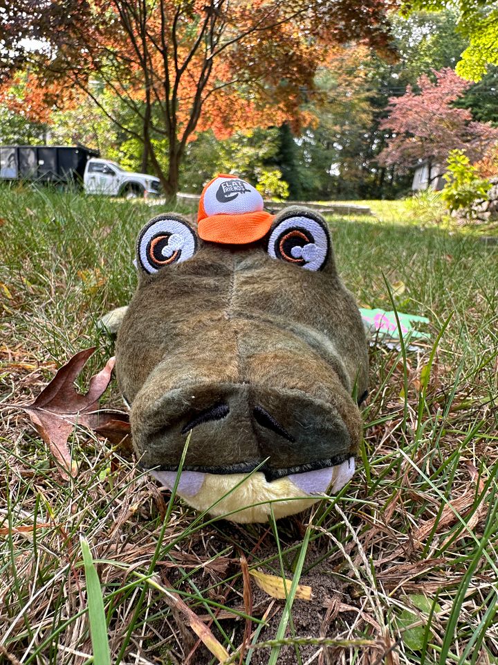 Alligator Plush product image (2)