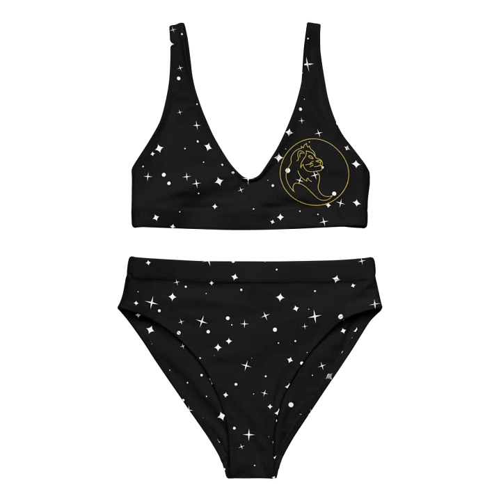 Starry Lion Recycled High Waisted Bikini product image (1)