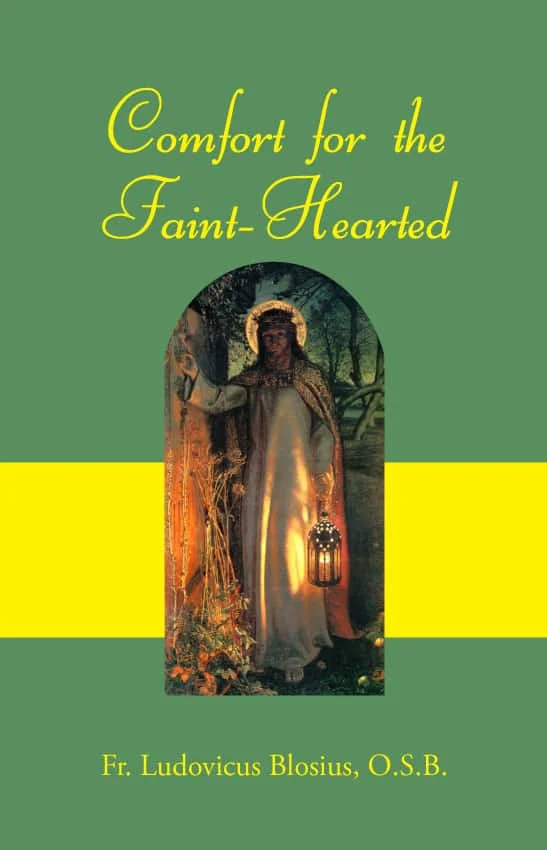 Comfort for the Faint-Hearted product image (1)