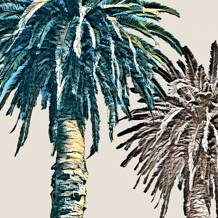 3 Palm Trees - Portrait - Museum-Quality Poster product image (8)