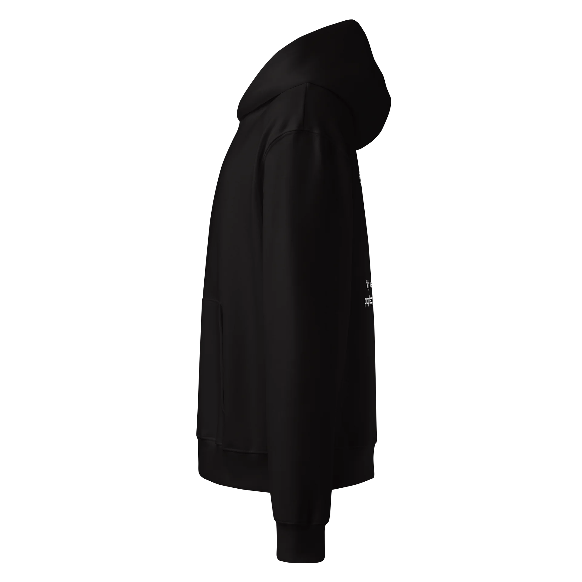 Raven Oversized Hoodie product image (4)