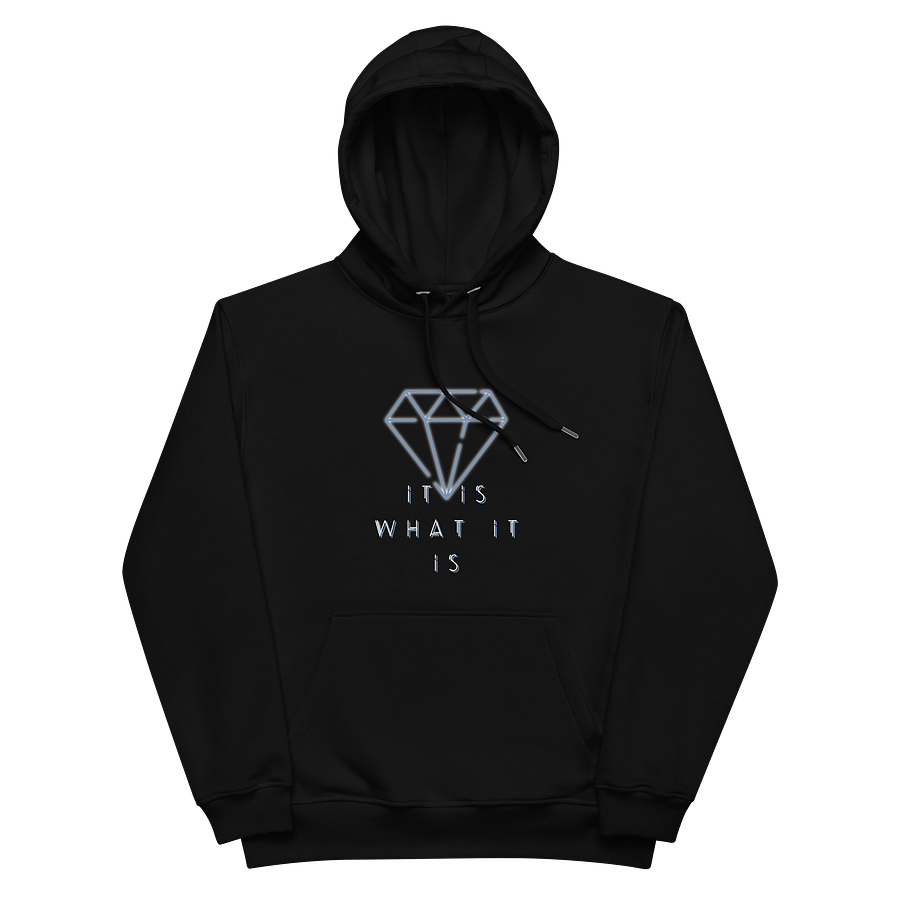 It Is What It Is Eco Hoodie product image (3)