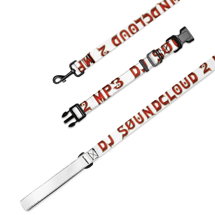 Branded Leash And Collar by djsoundcloud2mp3 product image (1)