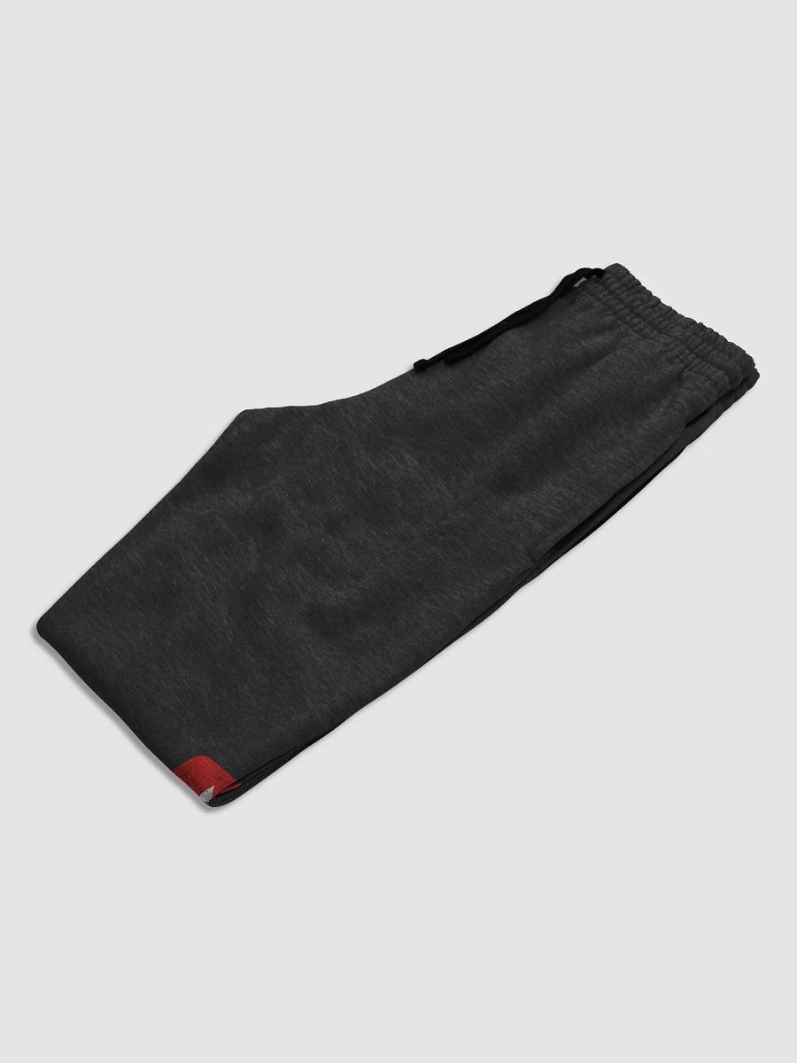 VORTEX JOGGERS product image (2)
