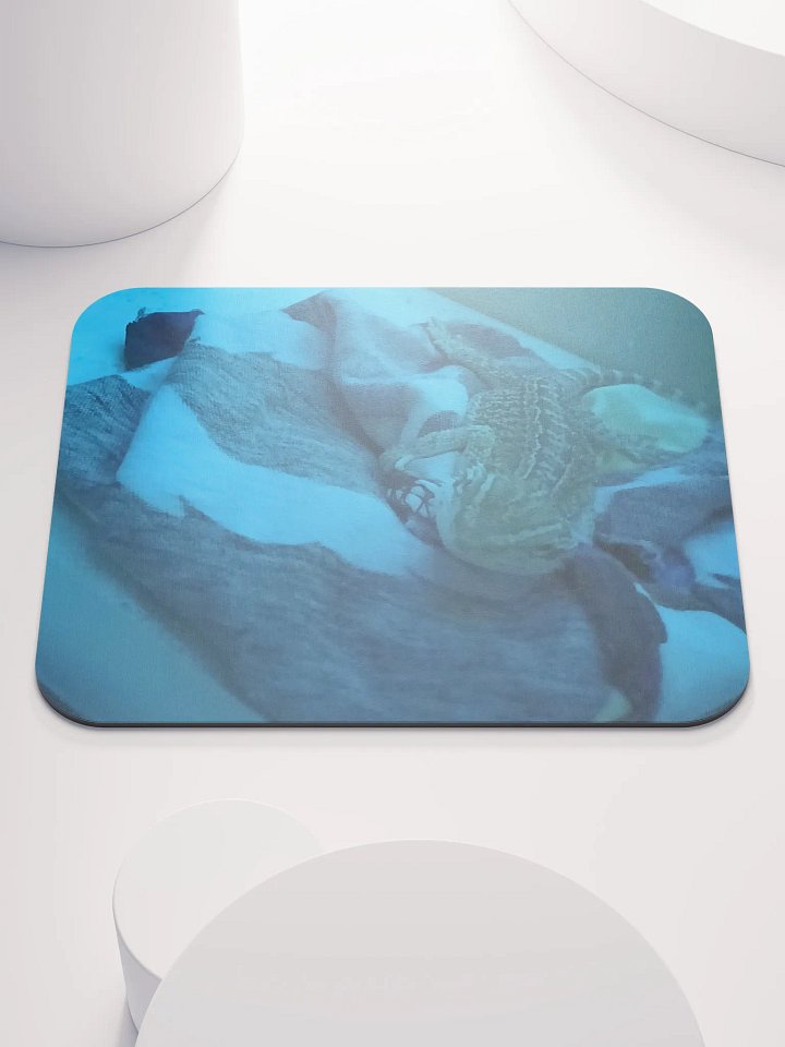 Sleepy Zora product image (1)