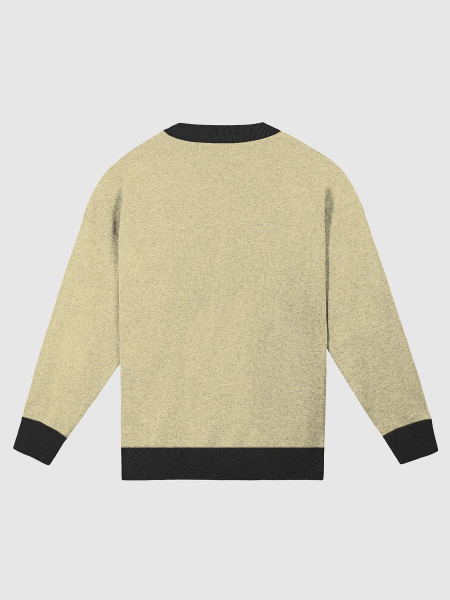 Honey-pot Flynn Jumper / Sweater product image (2)