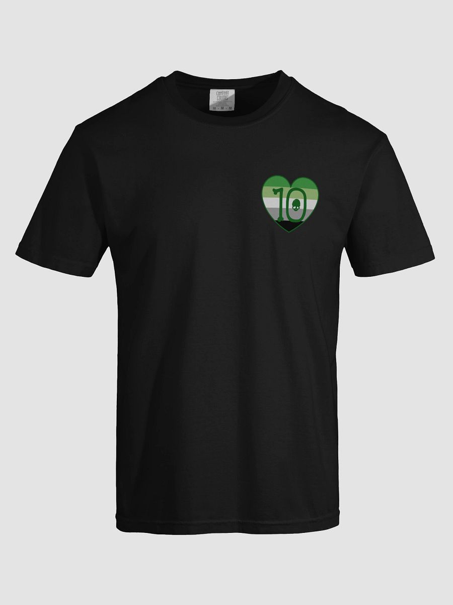Aromantic Pride - Rule 10 T-Shirt product image (50)