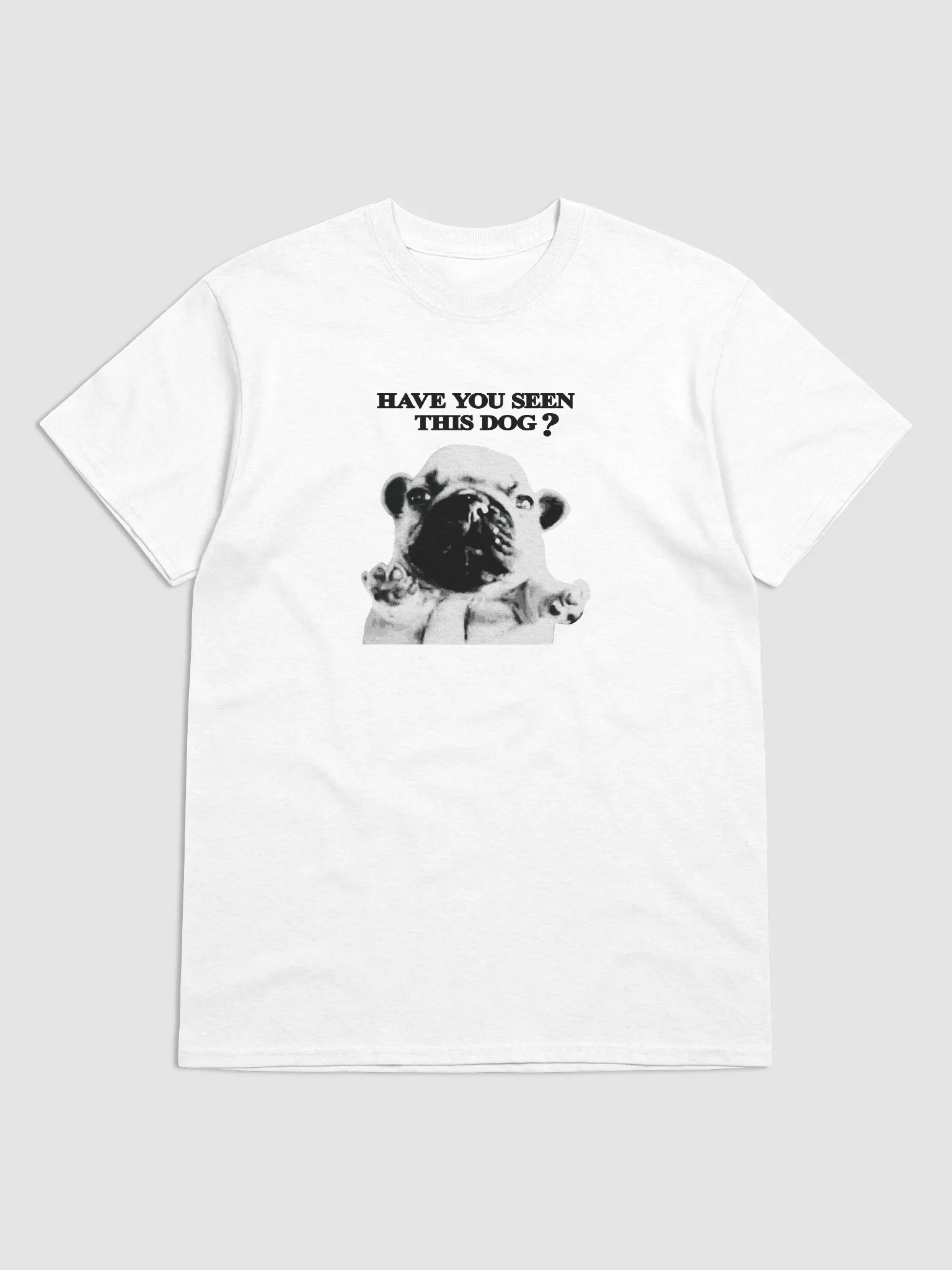 HAVE YOU SEEN PIBBLE? product image (1)