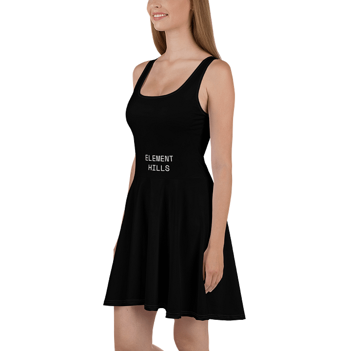 Element Hills Skater Dress product image (1)