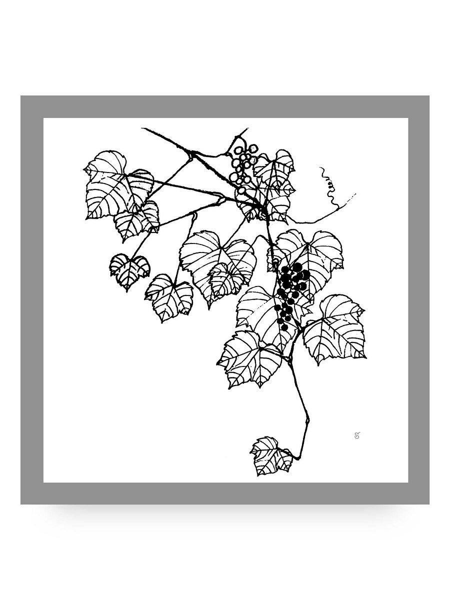 Grapevine Dreams Canvas Print - Grape Leaves Stylish product image (10)