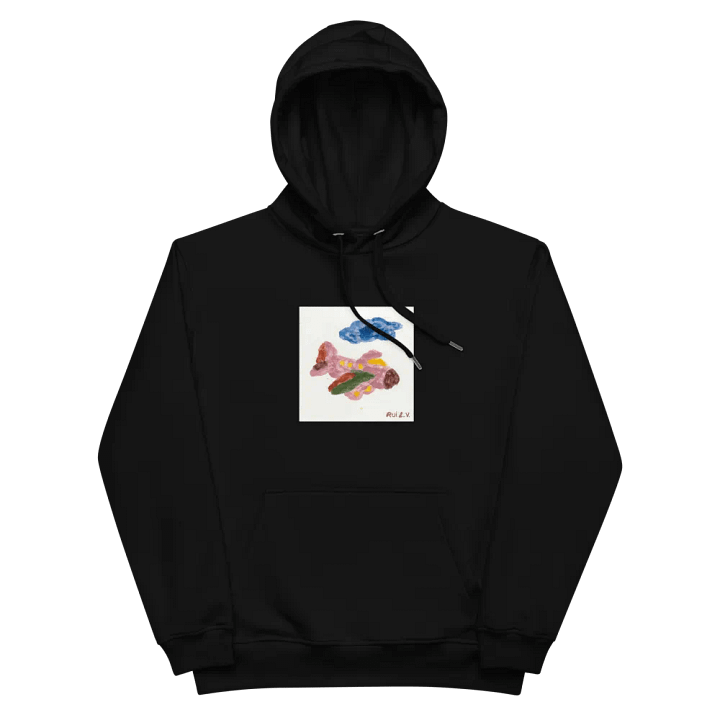 Kid Airplane (Premium Eco Hoodie) product image (2)