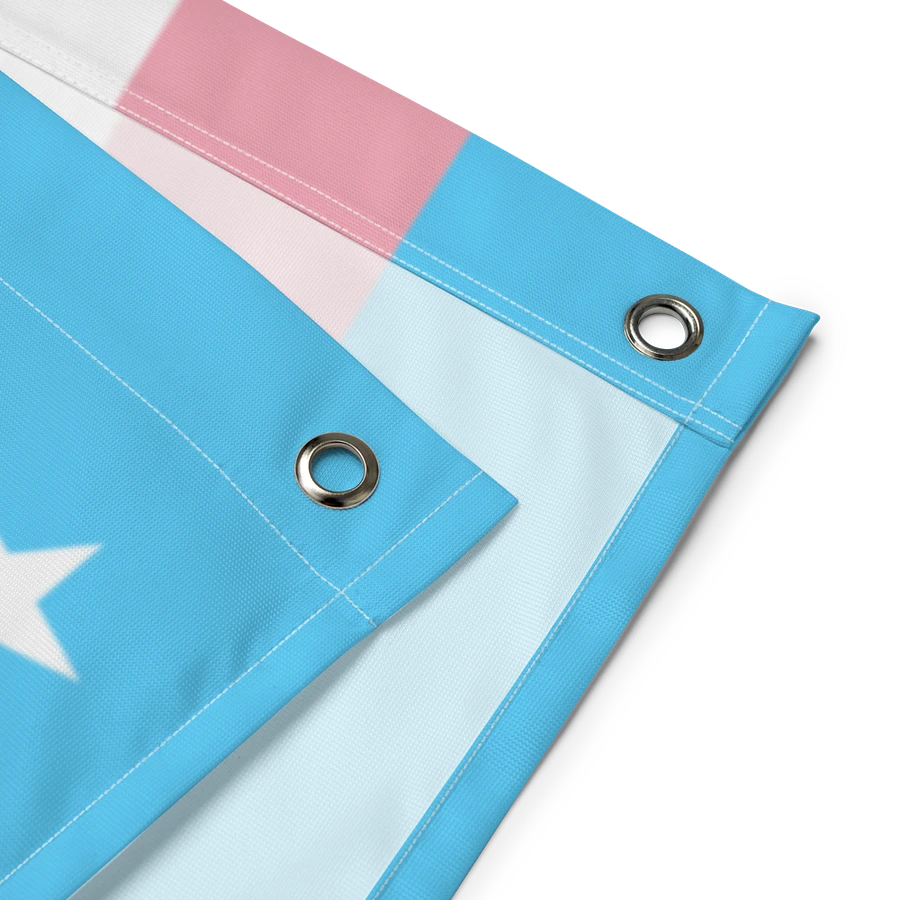 USA Trans Pride Flag product image (3)