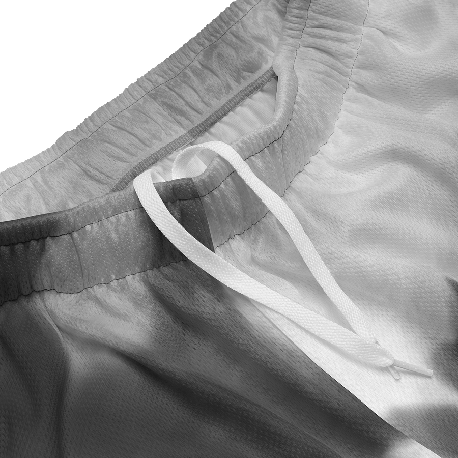 Smokey Mesh Shorts product image (3)