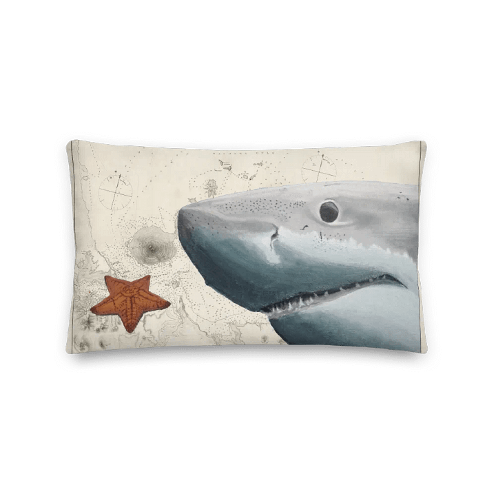 Shark's Chart Nautical Cushion product image (2)