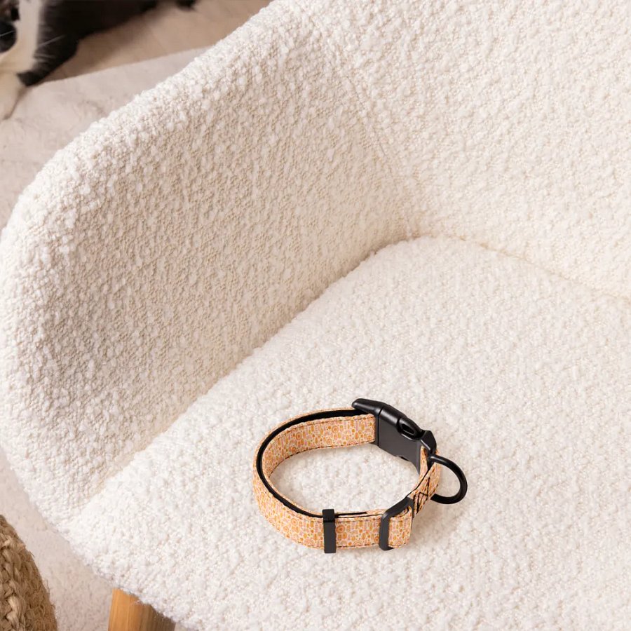 Sunset Gradient Pet Collar product image (3)