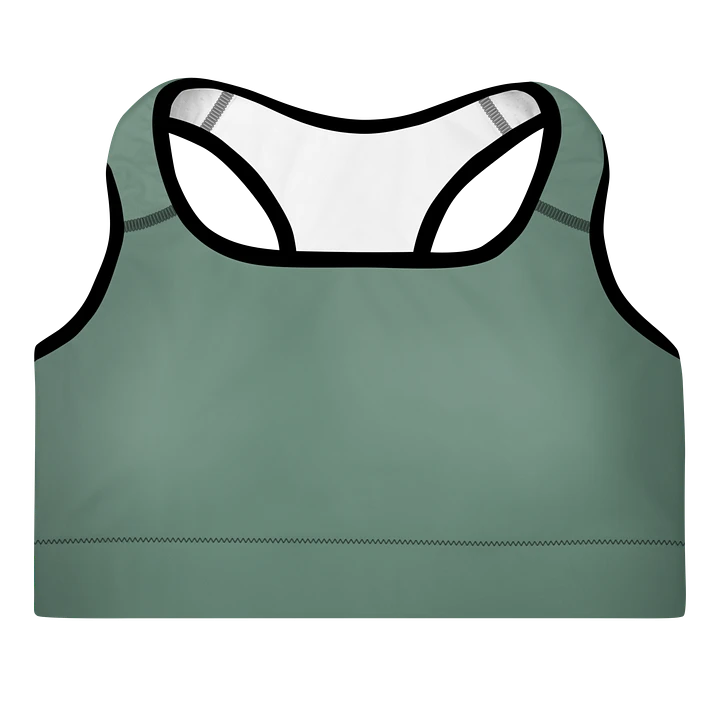 Elevate Your Workout Style with the IBVL X JV Padded Sports Bra product image (1)