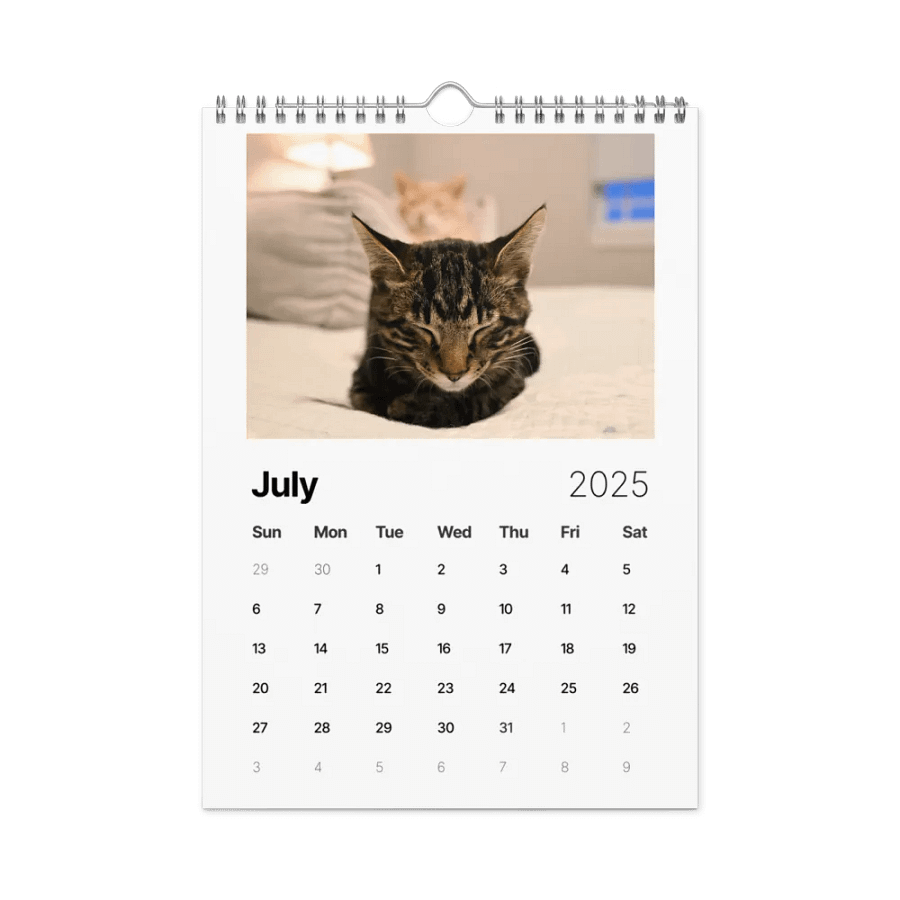 Noah and Friends 2025 Calendar product image (7)