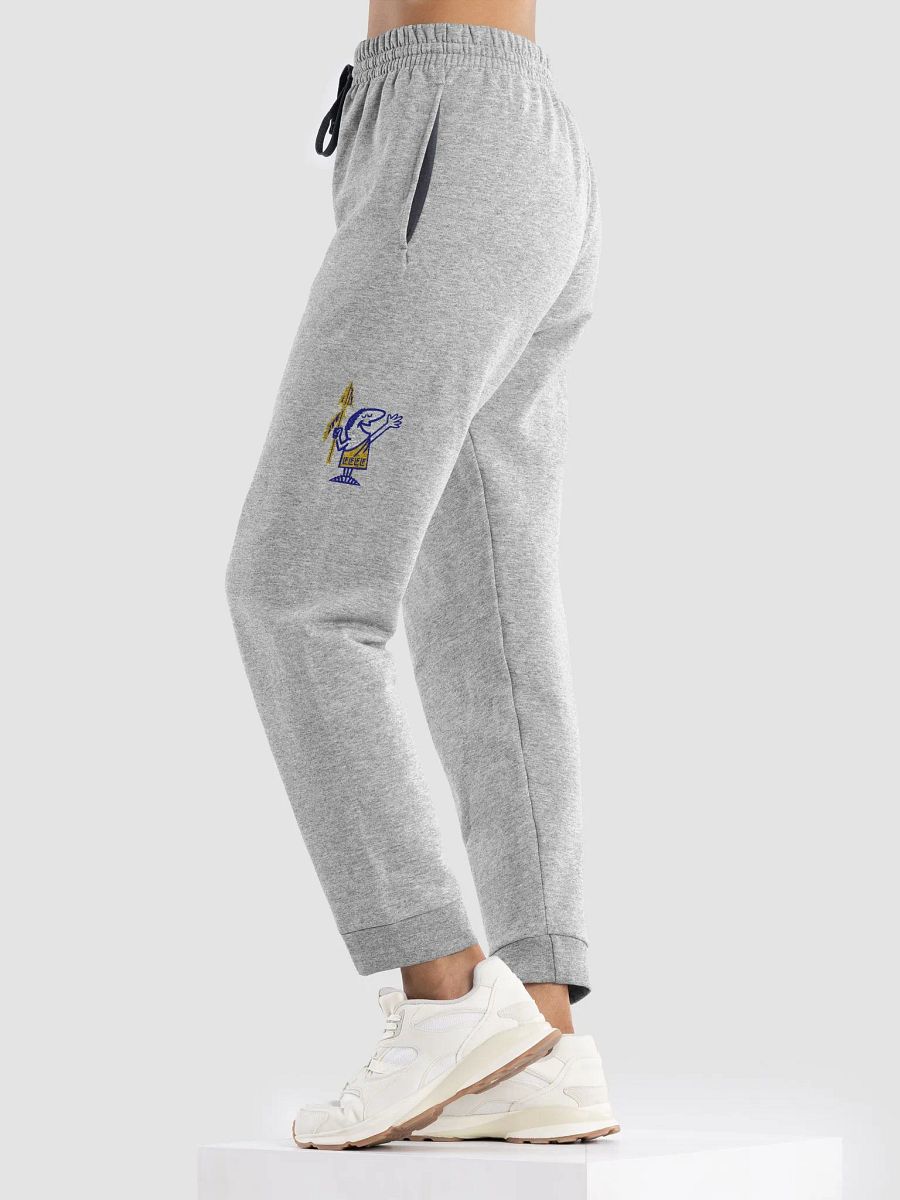 Lake Forest Latin Club Sweatpants product image (11)