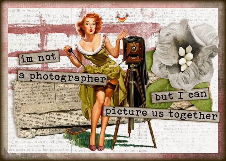 Perfect Picture product image (1)