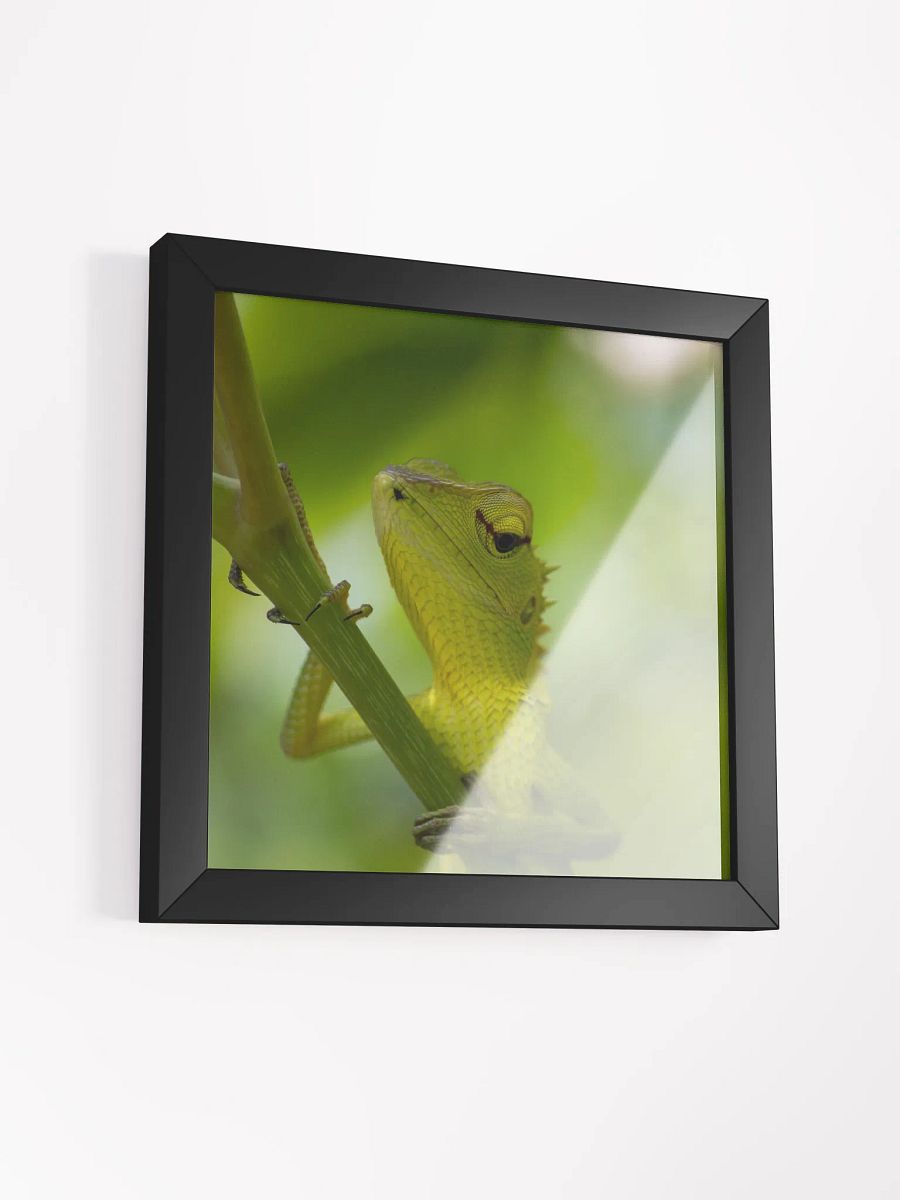 Garden Lizard in Focus product image (13)