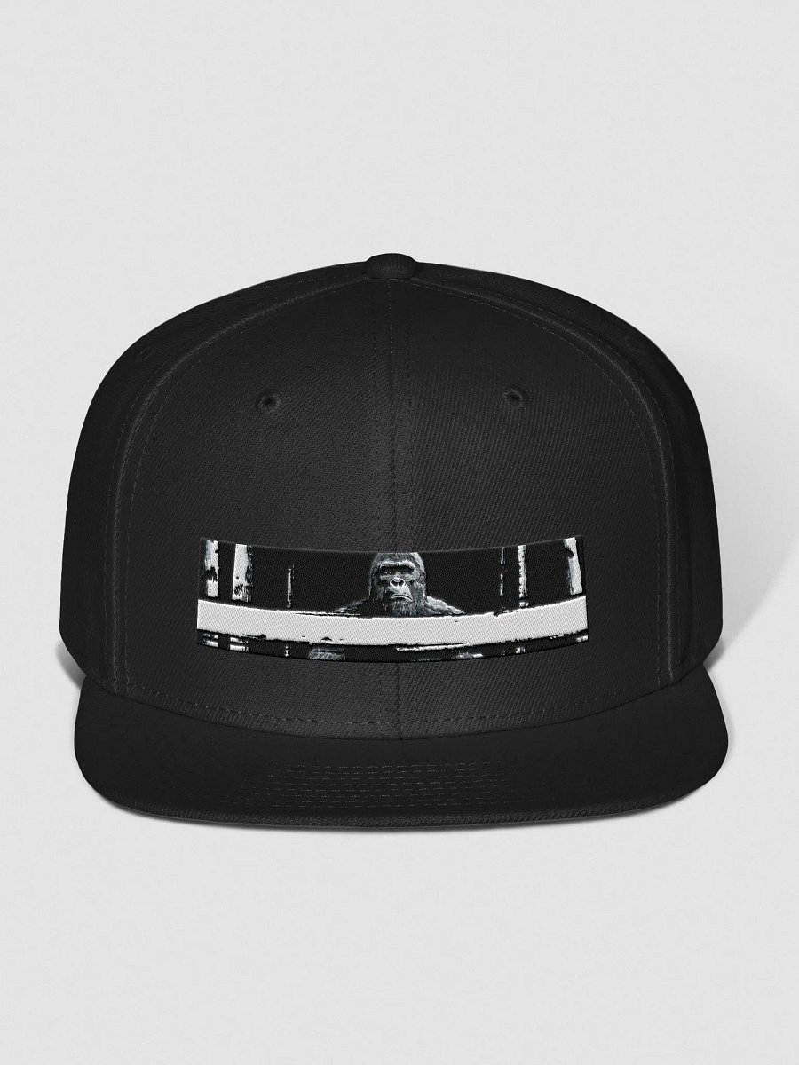 bgft cap product image (1)