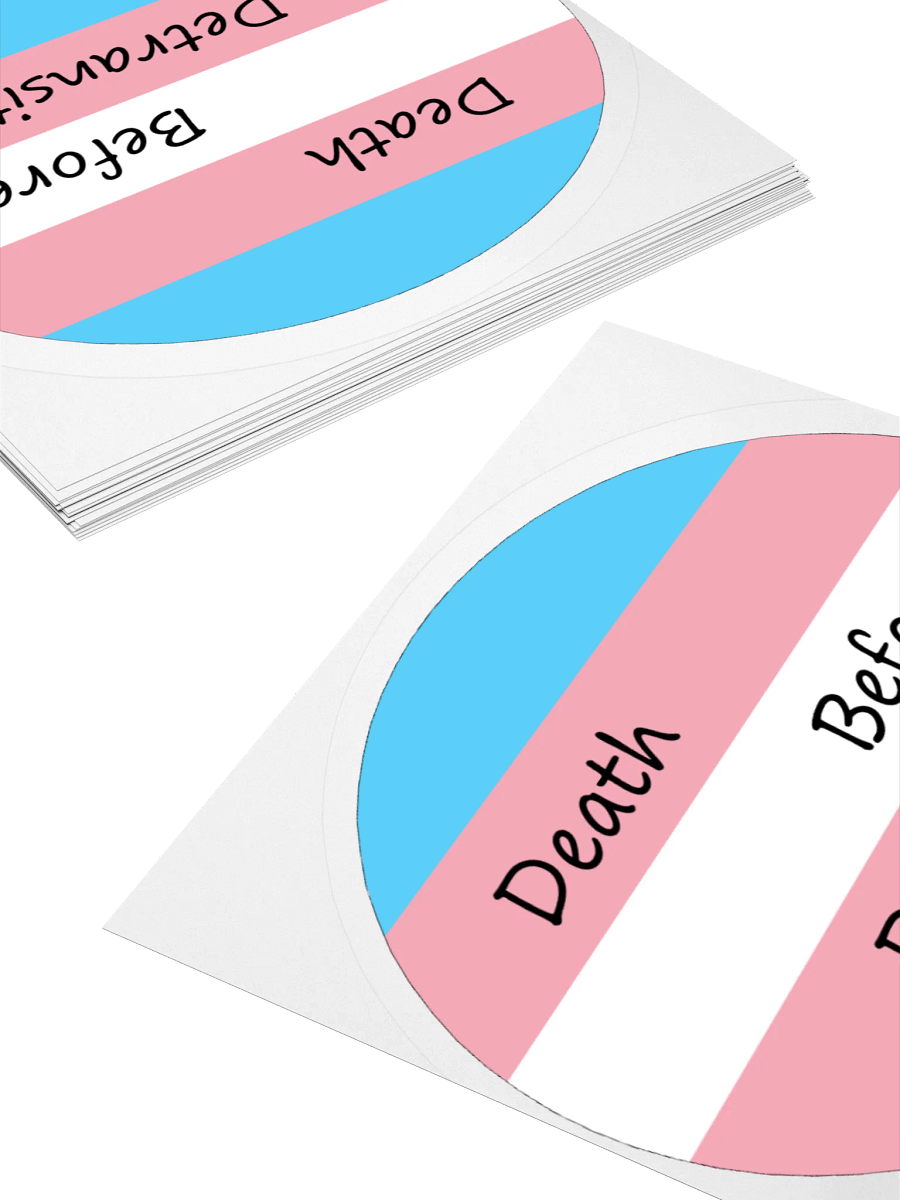 Death Before Detransition Sticker product image (10)