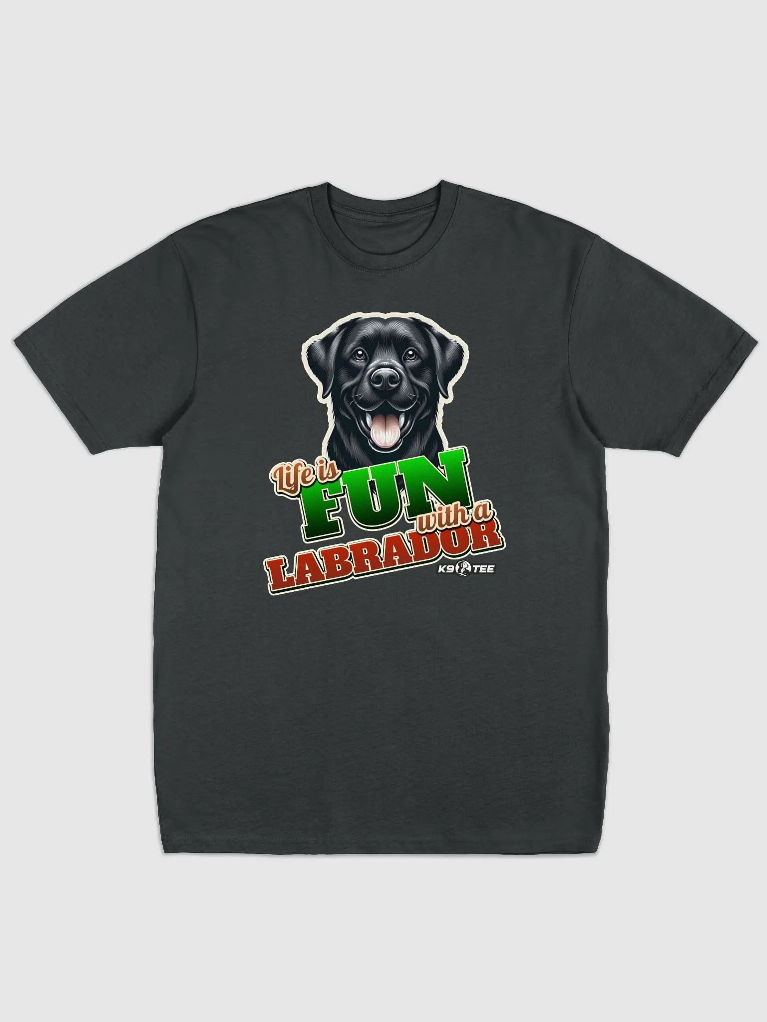 Fun with a LABRADOR Premium Tee product image (1)