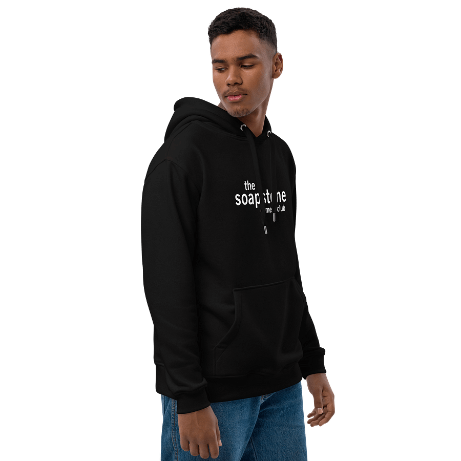 Sword in the Soapstone Eco Hoodie product image (12)