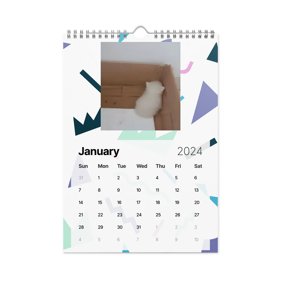 Wall Calendar (2024): Meme Cats product image (8)