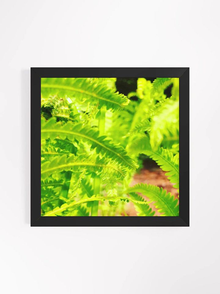 Element 2 product image (1)