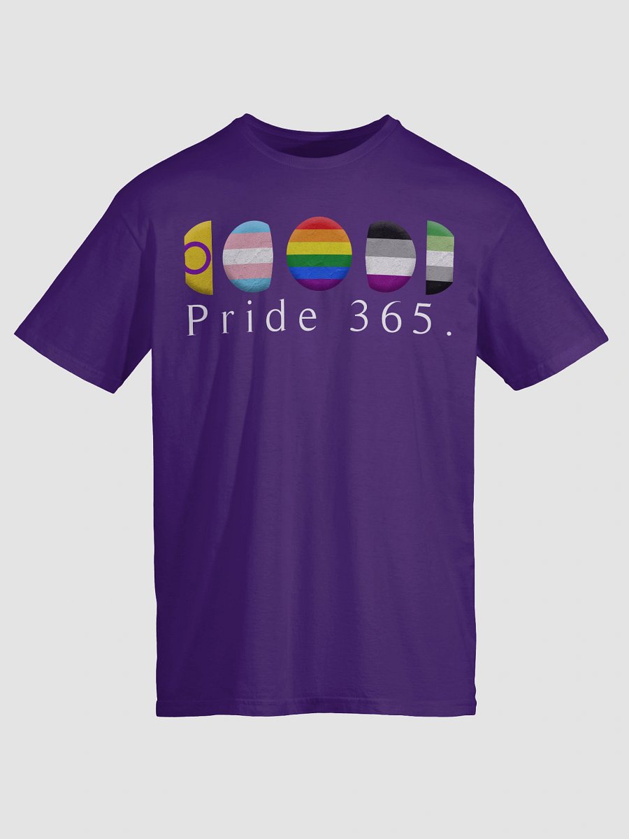 Pride 365 Tee product image (29)
