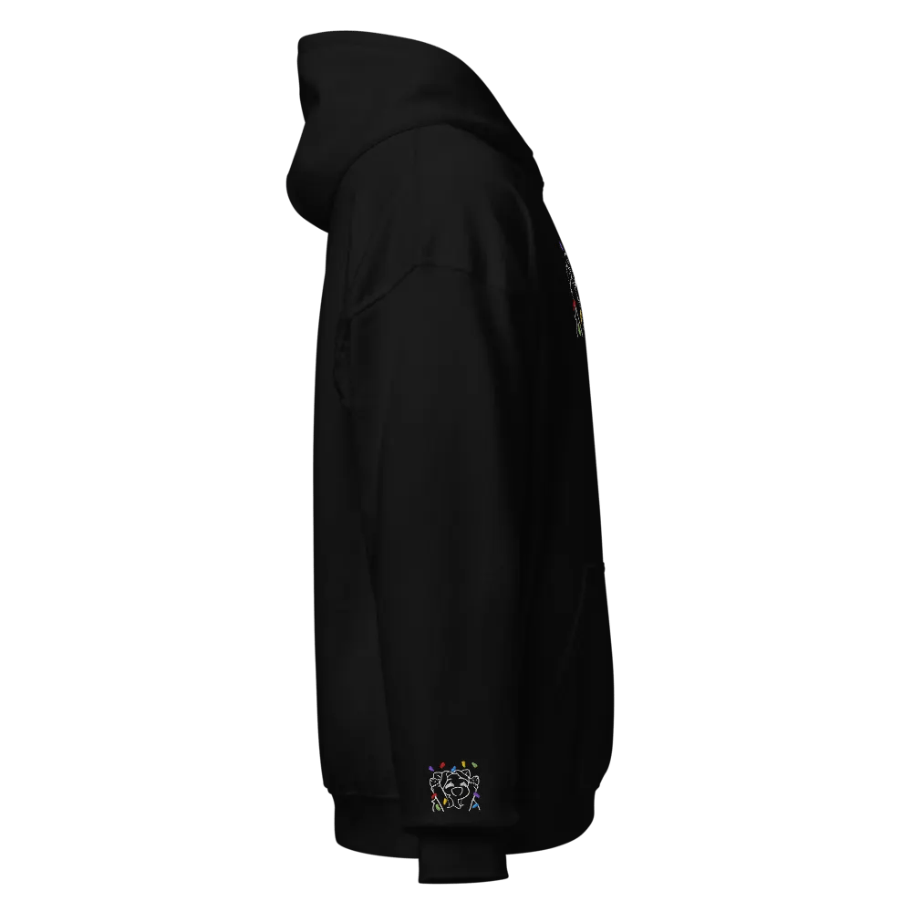 Sparkyy Embroidered Minimalist Hoodie! product image (3)