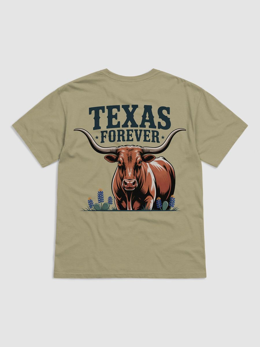 Texas Forever Distressed T-Shirt product image (17)