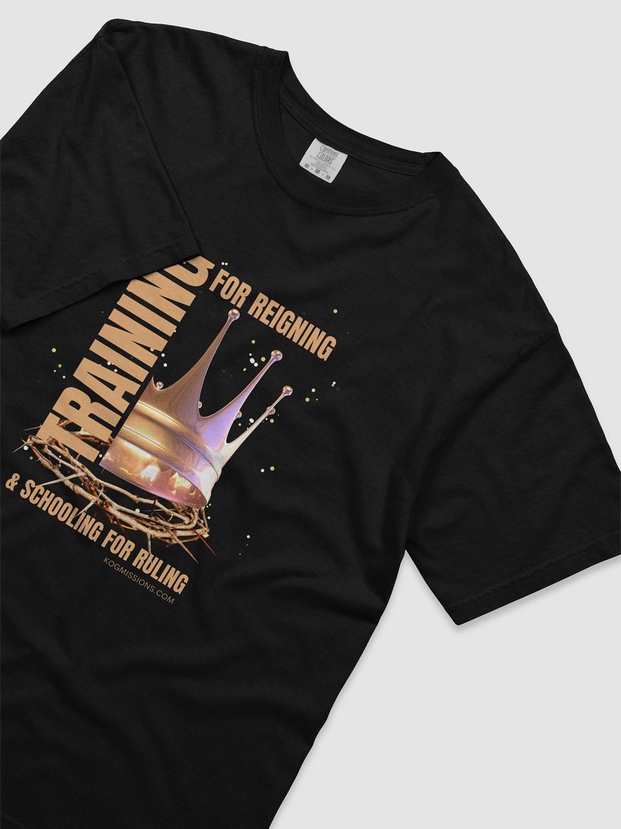 Training for Reigning Comfort Tee 1 product image (3)