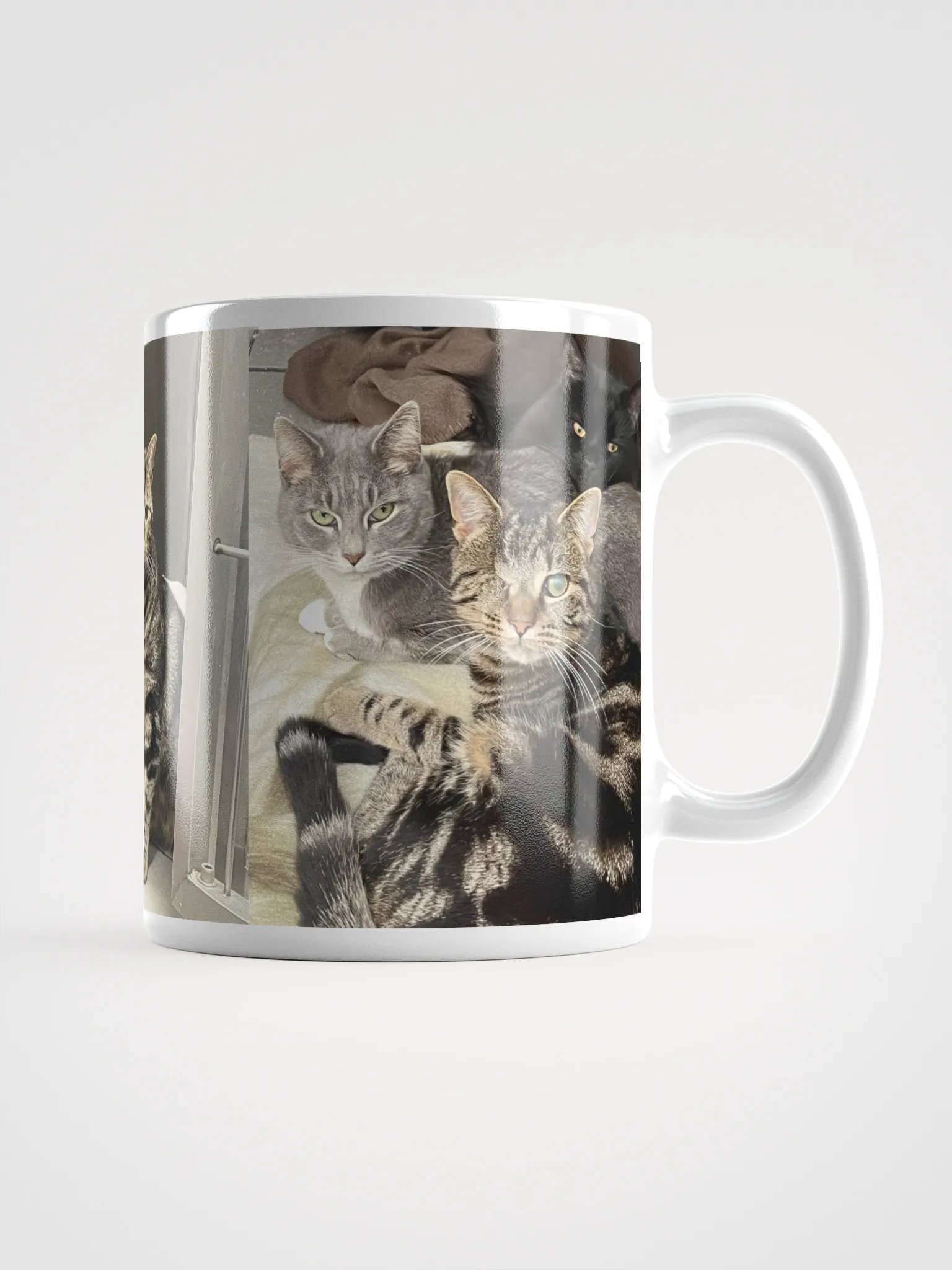 KITTYLOU21'S CATS product image (1)