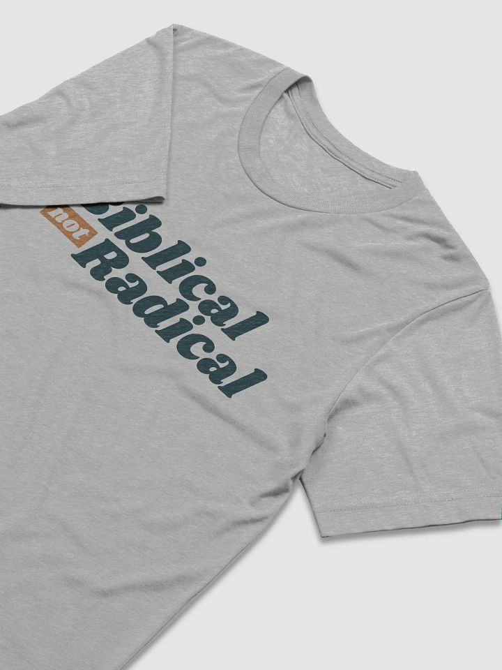 Men's T-Shirt: Biblical Not Radical (more colors available) product image (2)