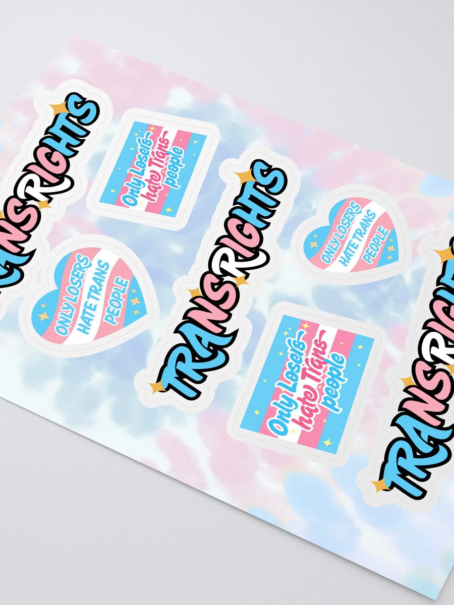 TRANS RIGHTS Sticker Sheet product image (2)