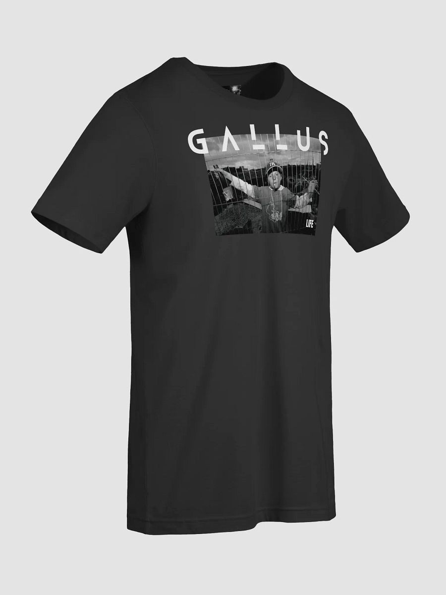 Gallus 2025 Life Collection product image (97)