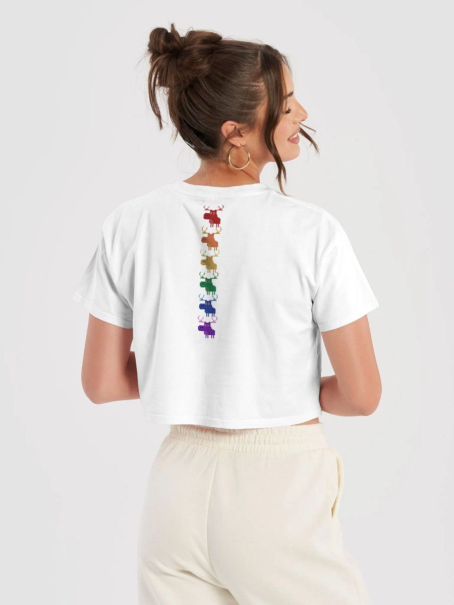 Pride Meese | Crop Top product image (31)
