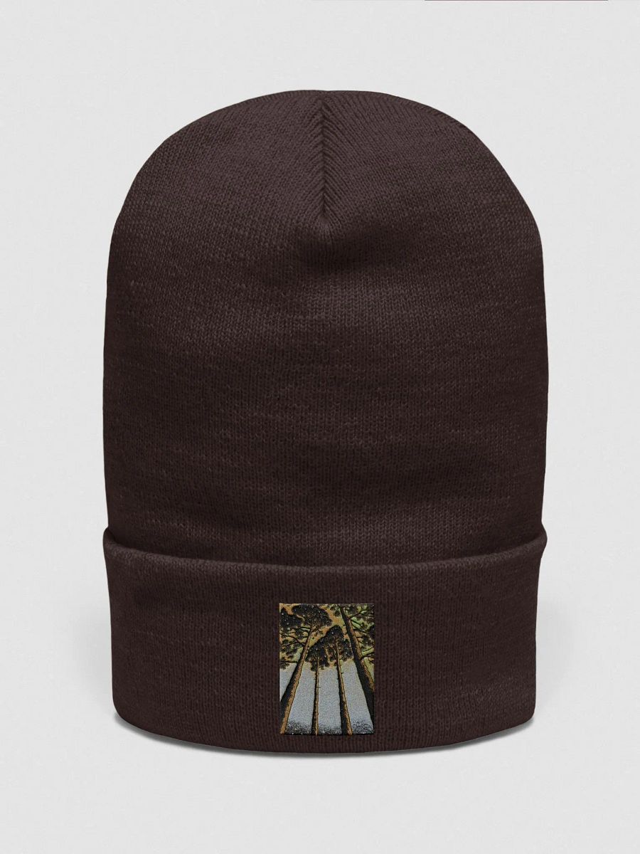 Skyward Bound Beanie product image (1)