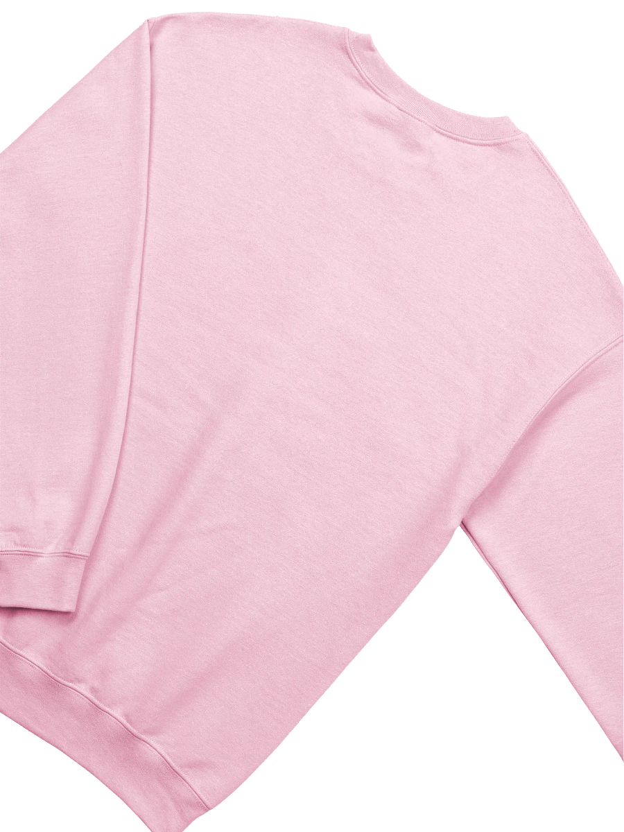 Positive Affirmations Classic Unisex Sweatshirt product image (4)