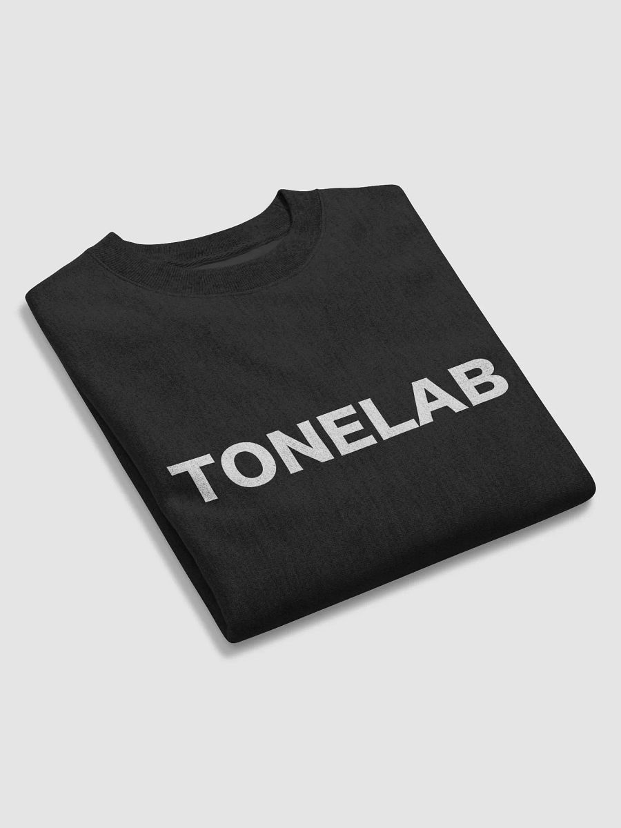 TONELAB Champion Max Sweatshirt product image (5)
